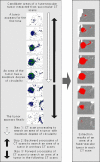 Fig. 13