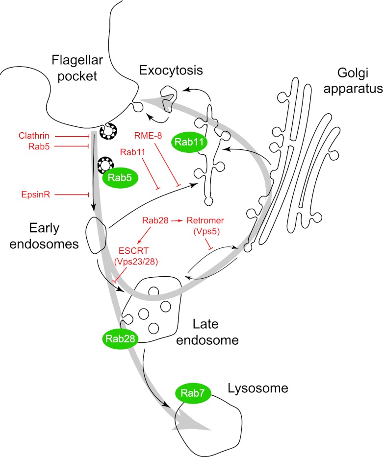 Fig 8