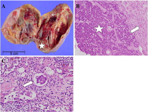 Fig. 3