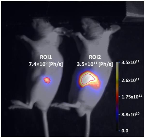 Fig.3