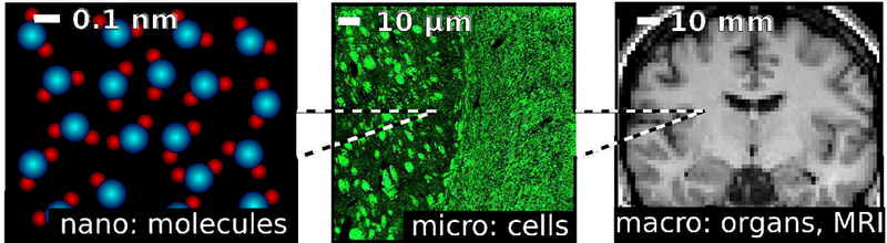 Figure 1: