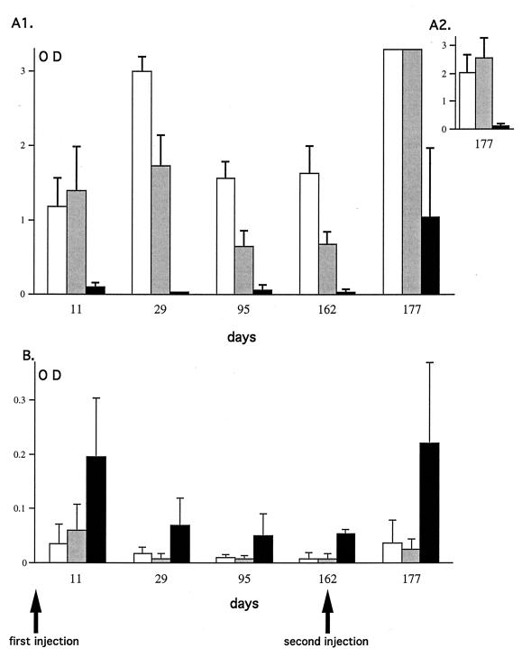 FIG. 7