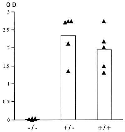 FIG. 5