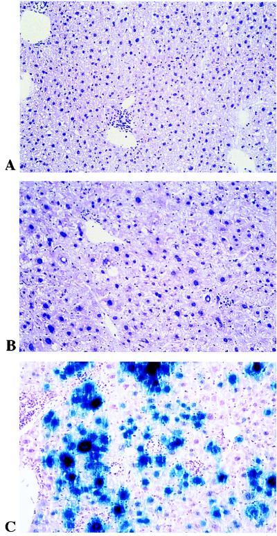 FIG. 6