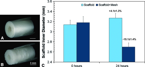 Fig. 2A–C