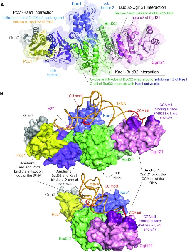 Figure 4.