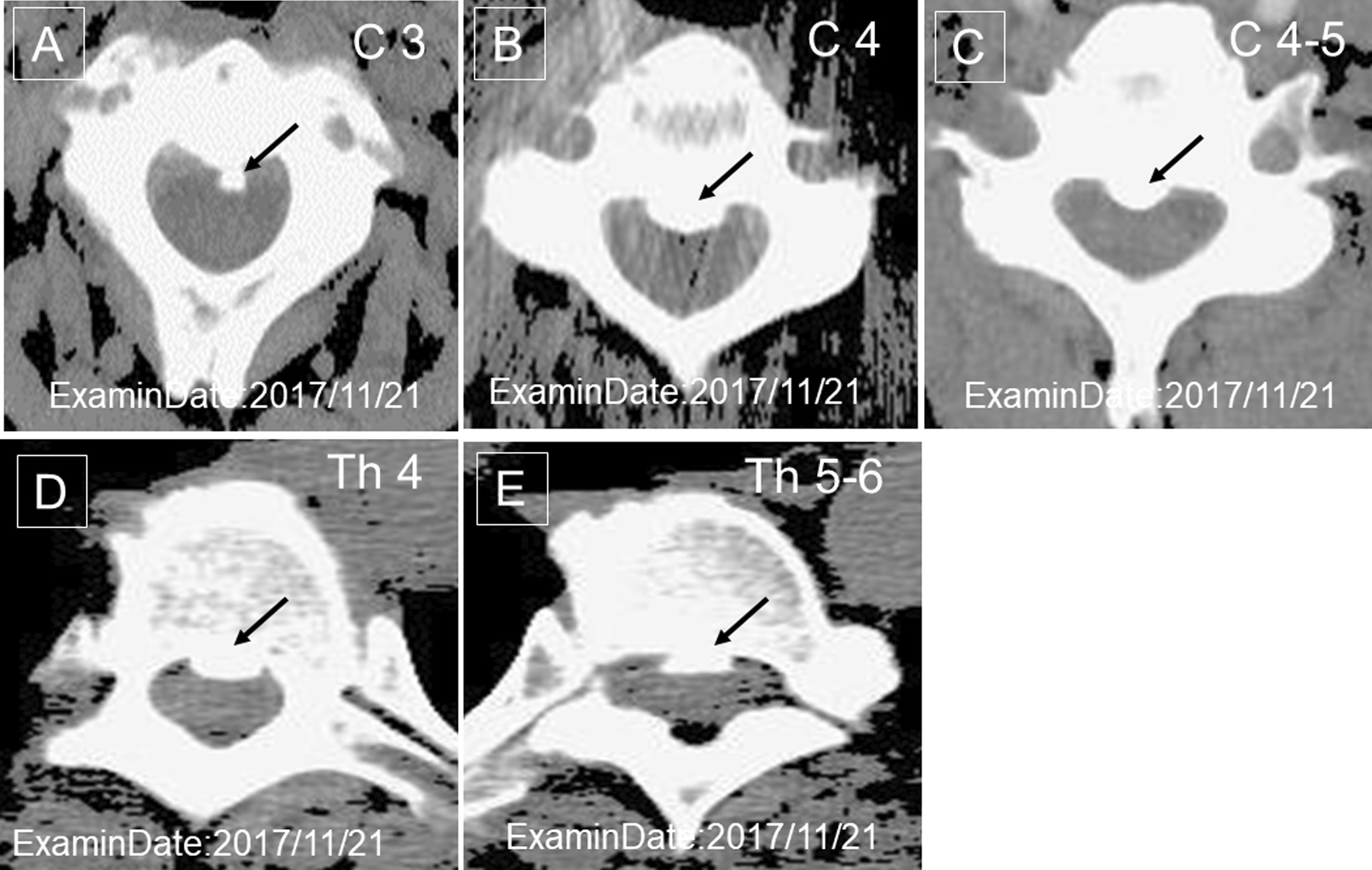 Fig. 4