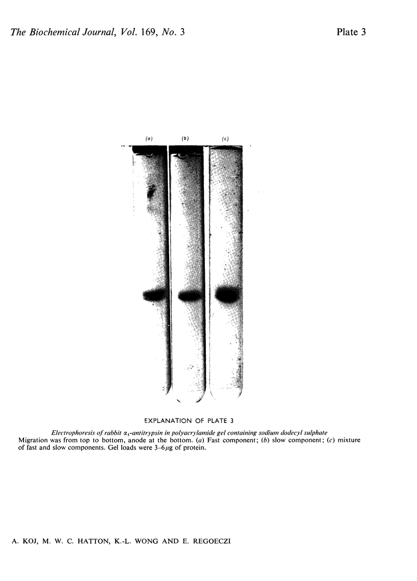 592-3