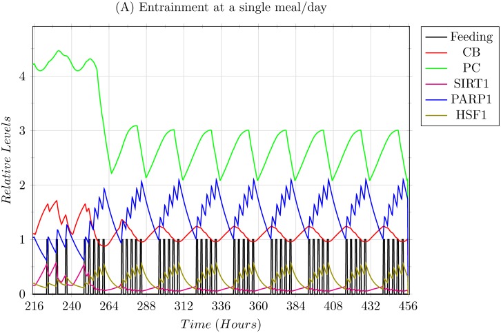 Fig 11