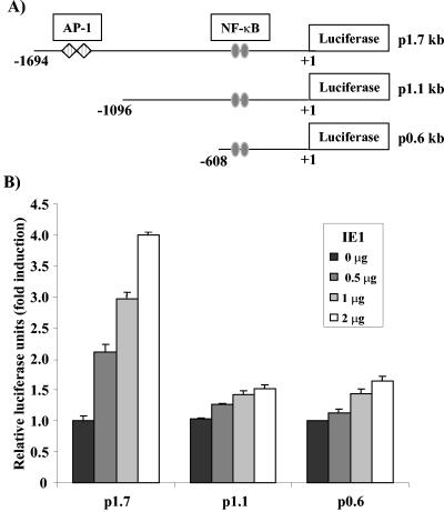 FIG. 1.