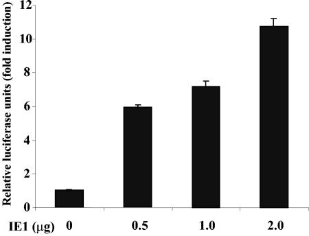 FIG. 2.