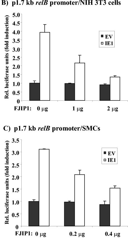 FIG. 8.