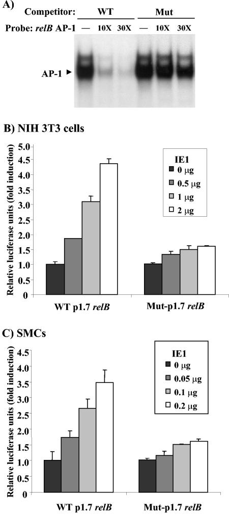 FIG. 4.