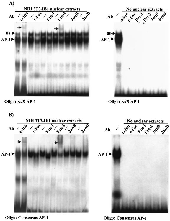 FIG. 5.