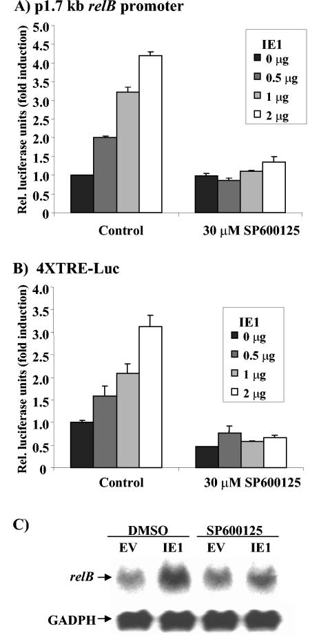 FIG. 7.