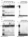 FIG. 5.