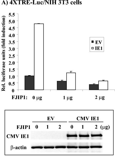 FIG. 8.