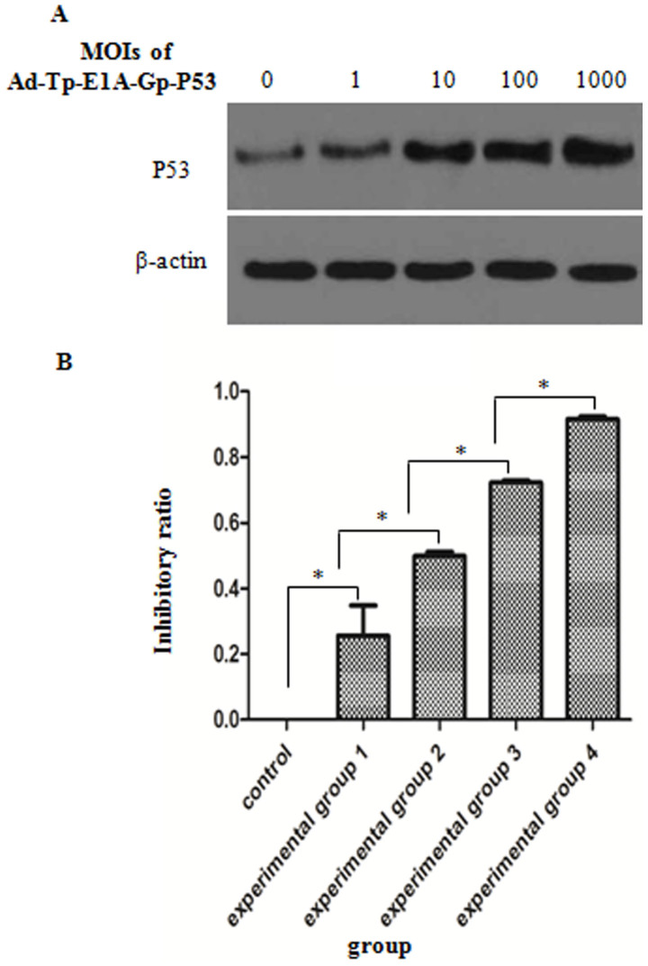 Figure 4.