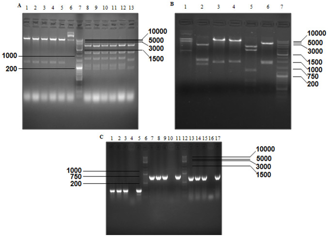 Figure 3.