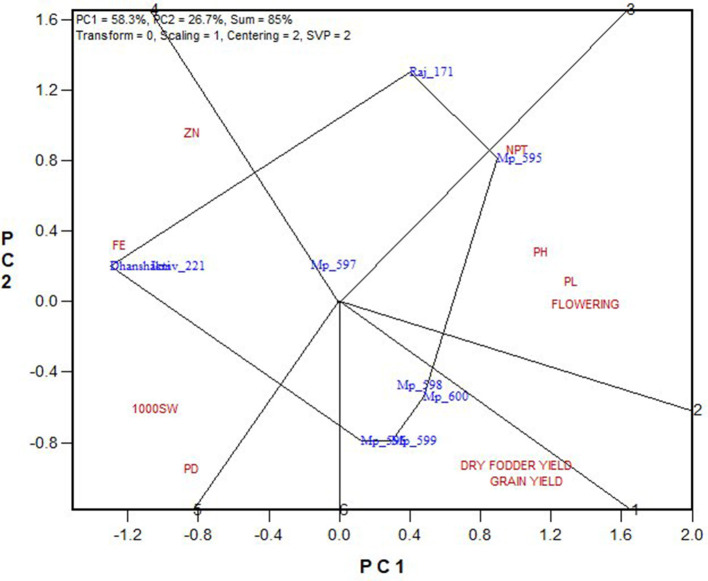 Figure 7