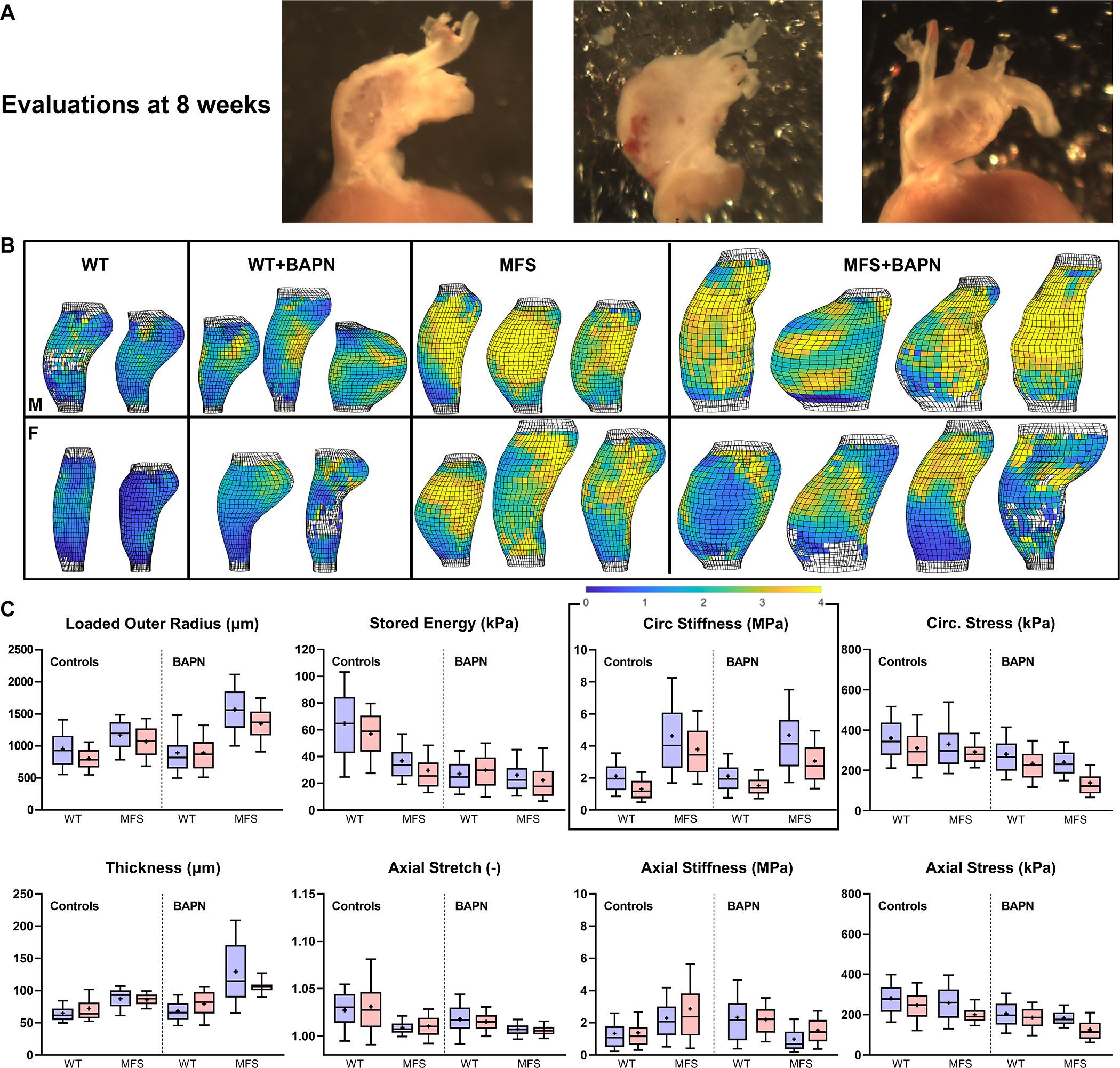 Figure 4.