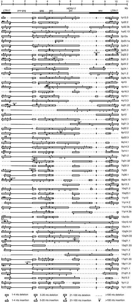 Fig. 2