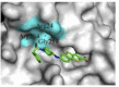 Fig. 42