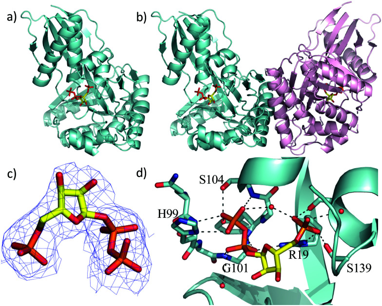 Fig. 2