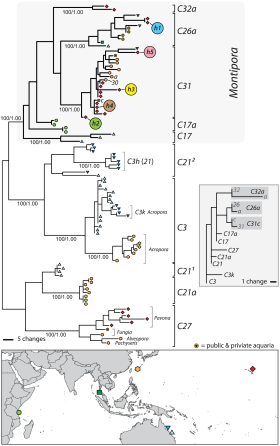 Figure 7