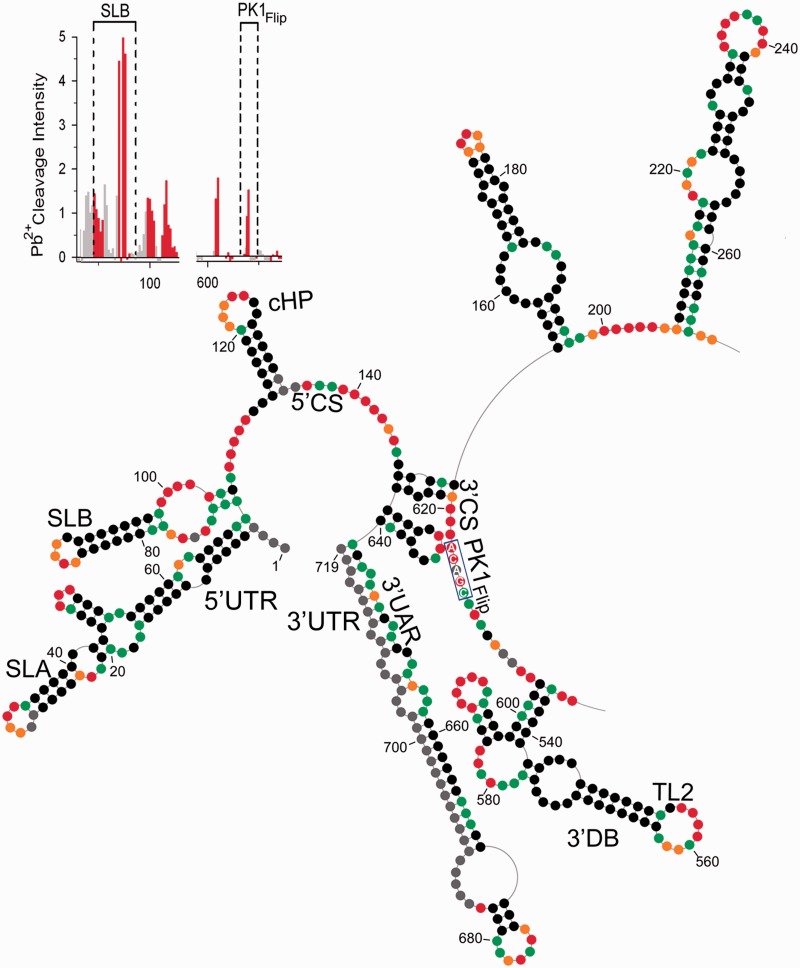 Figure 5.