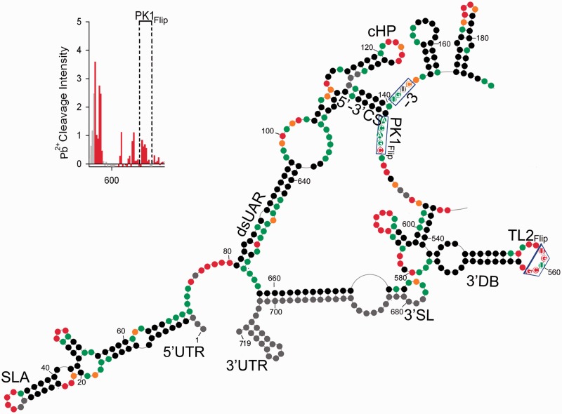 Figure 6.