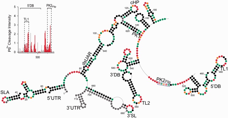 Figure 4.