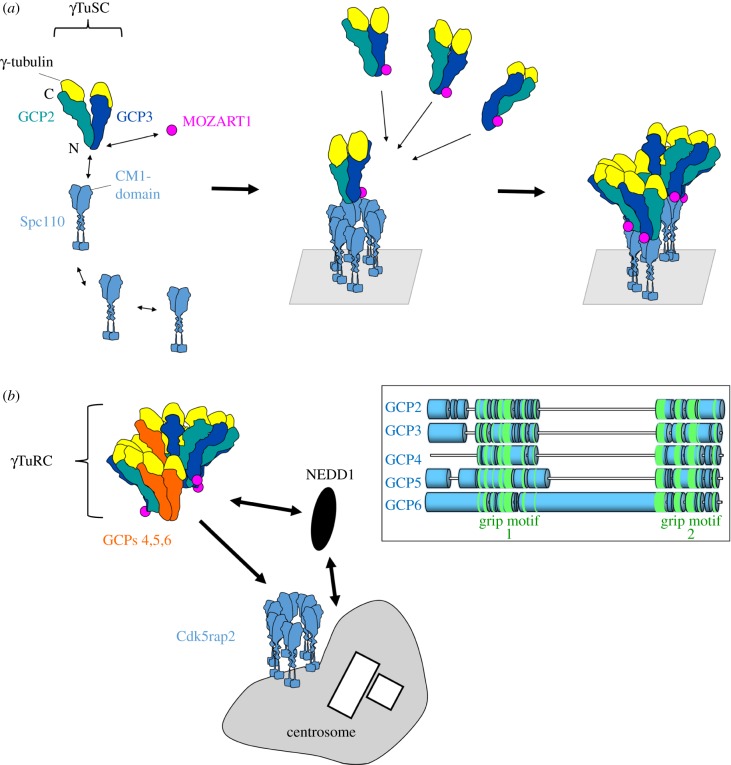 Figure 1.