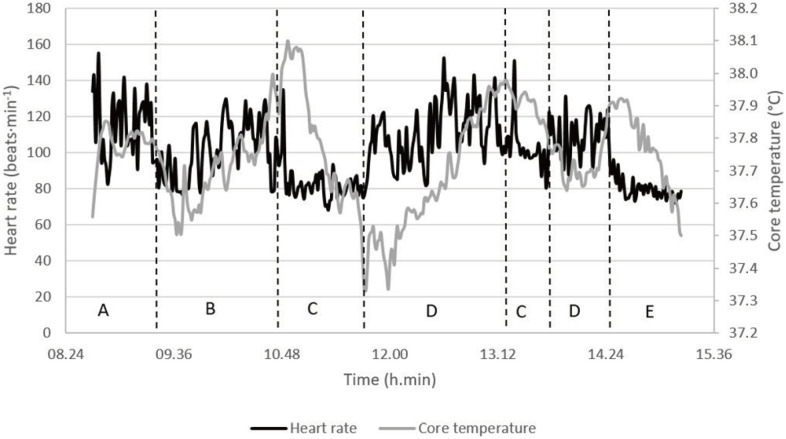 Fig. 1. 