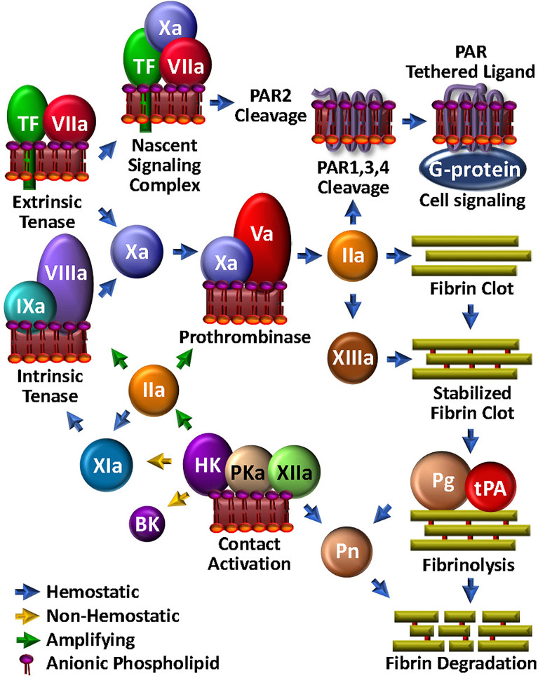 Figure 1