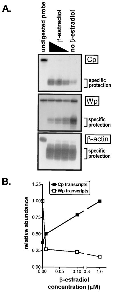 FIG. 5