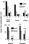 Fig 3.