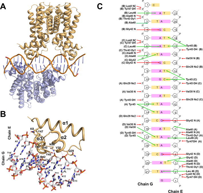 Figure 3.