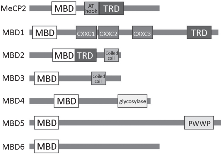 Fig.1