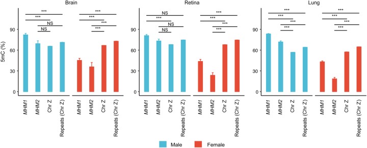 Figure 6.