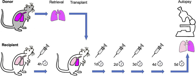 FIGURE 1.