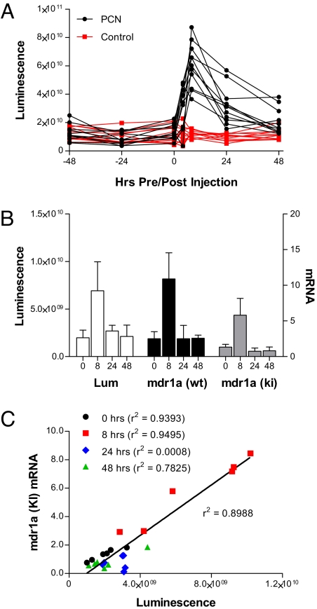 Fig. 3.