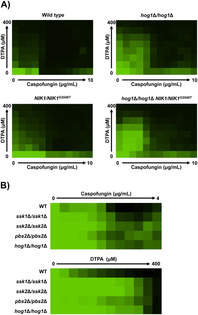 Fig 4