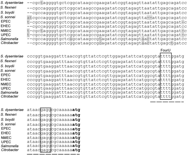 FIG 10