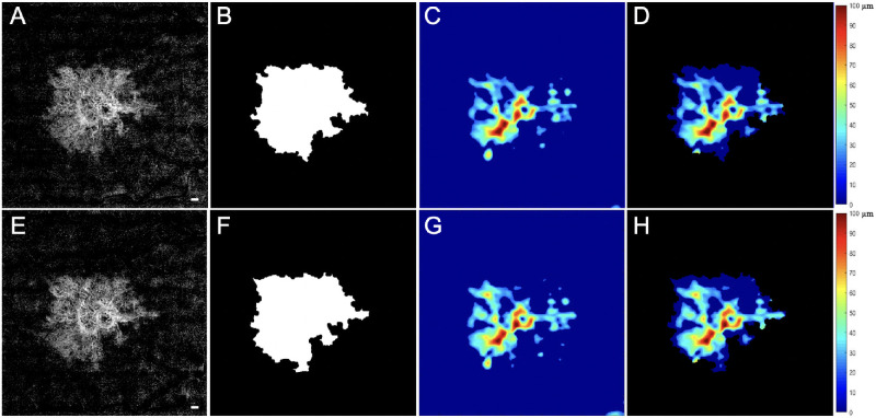 Figure 5.