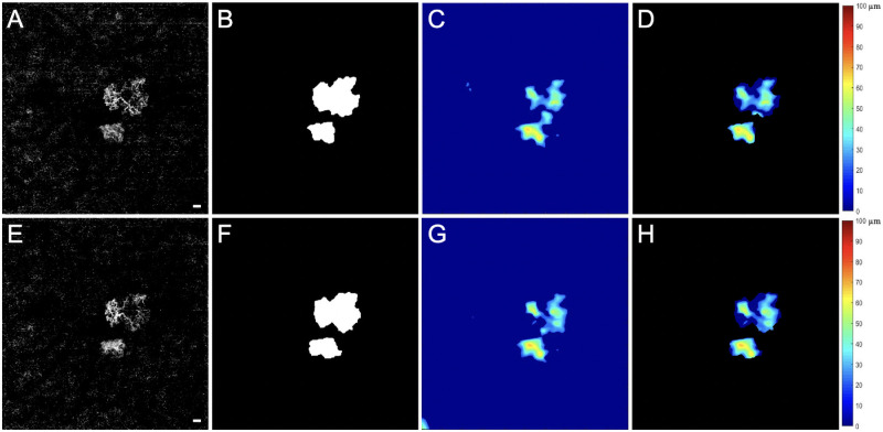 Figure 6.