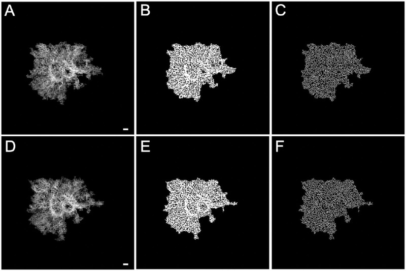 Figure 3.