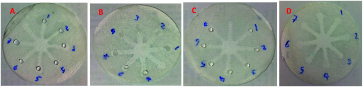 Fig. 6