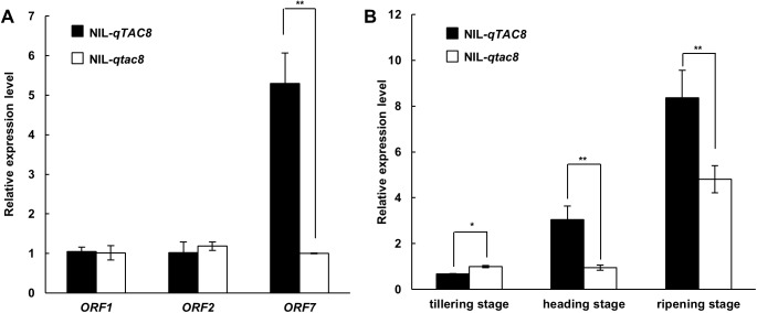 Fig 5