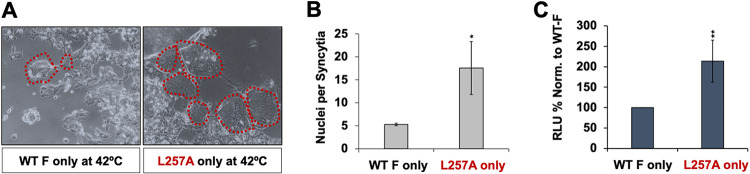 FIG 6